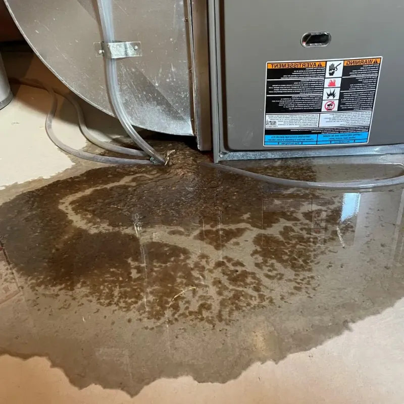 Pipe Burst and Leak Restoration in Spencer County, KY